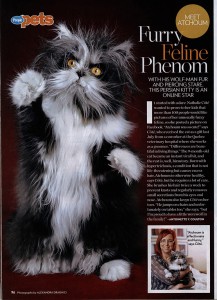 Atchoum the cat People Magazine comissioned editorial photoshoot