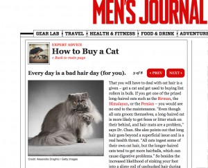 professinal pet photography published mens journal persian cat