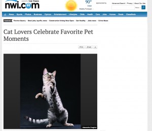 published editorial online pet photography