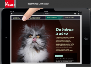 LaPresse editorial Published Atchoum the cat professional photography