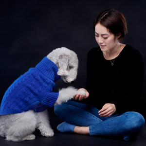Woman shaking hand with her dog which is wearing a cute sweater - Montreal pet photography session