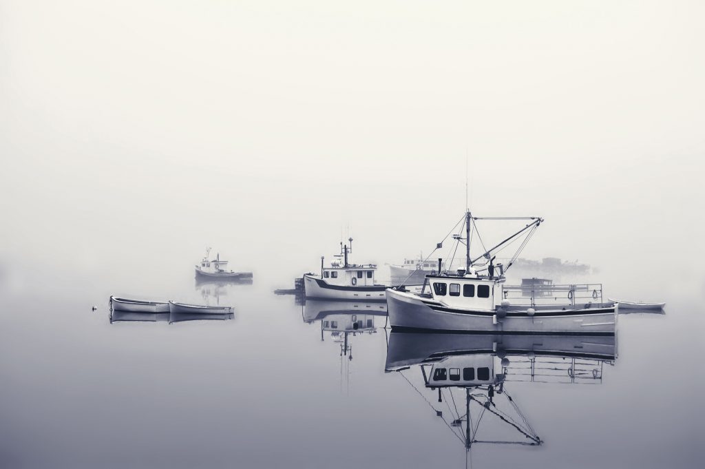 Fishing boats on misty lake. Shot in New Brunswick, Canada.